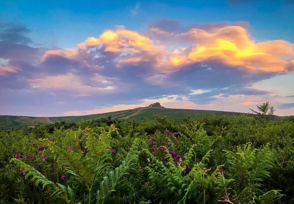 Haytor Court, Haytor, Dartmoor 아파트 외부 사진