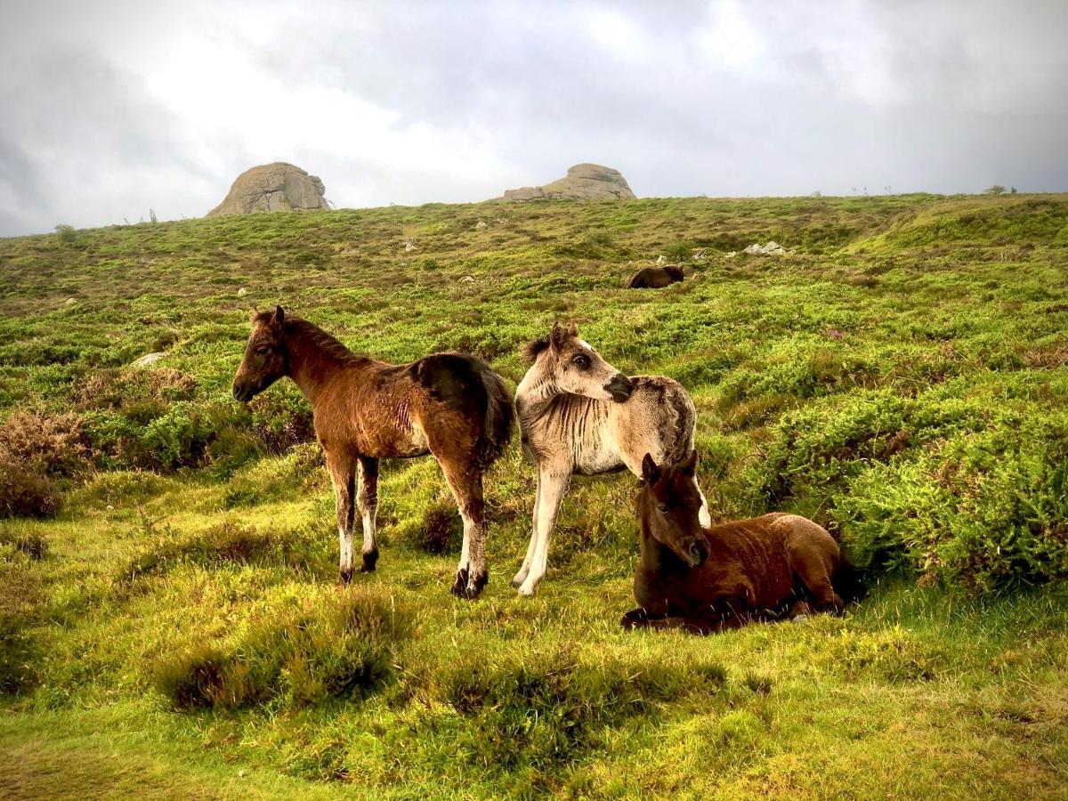 Haytor Court, Haytor, Dartmoor 아파트 외부 사진