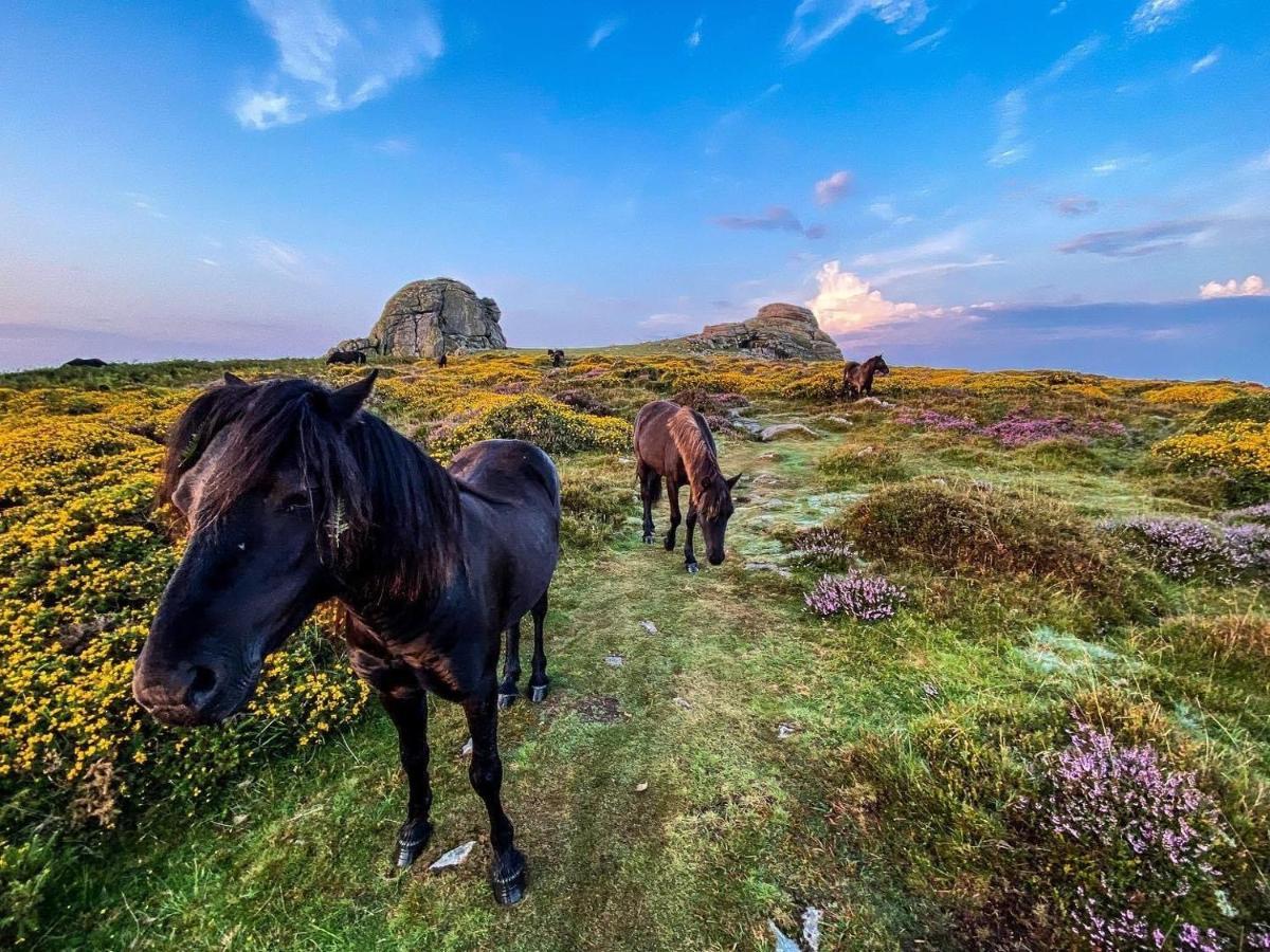 Haytor Court, Haytor, Dartmoor 아파트 외부 사진