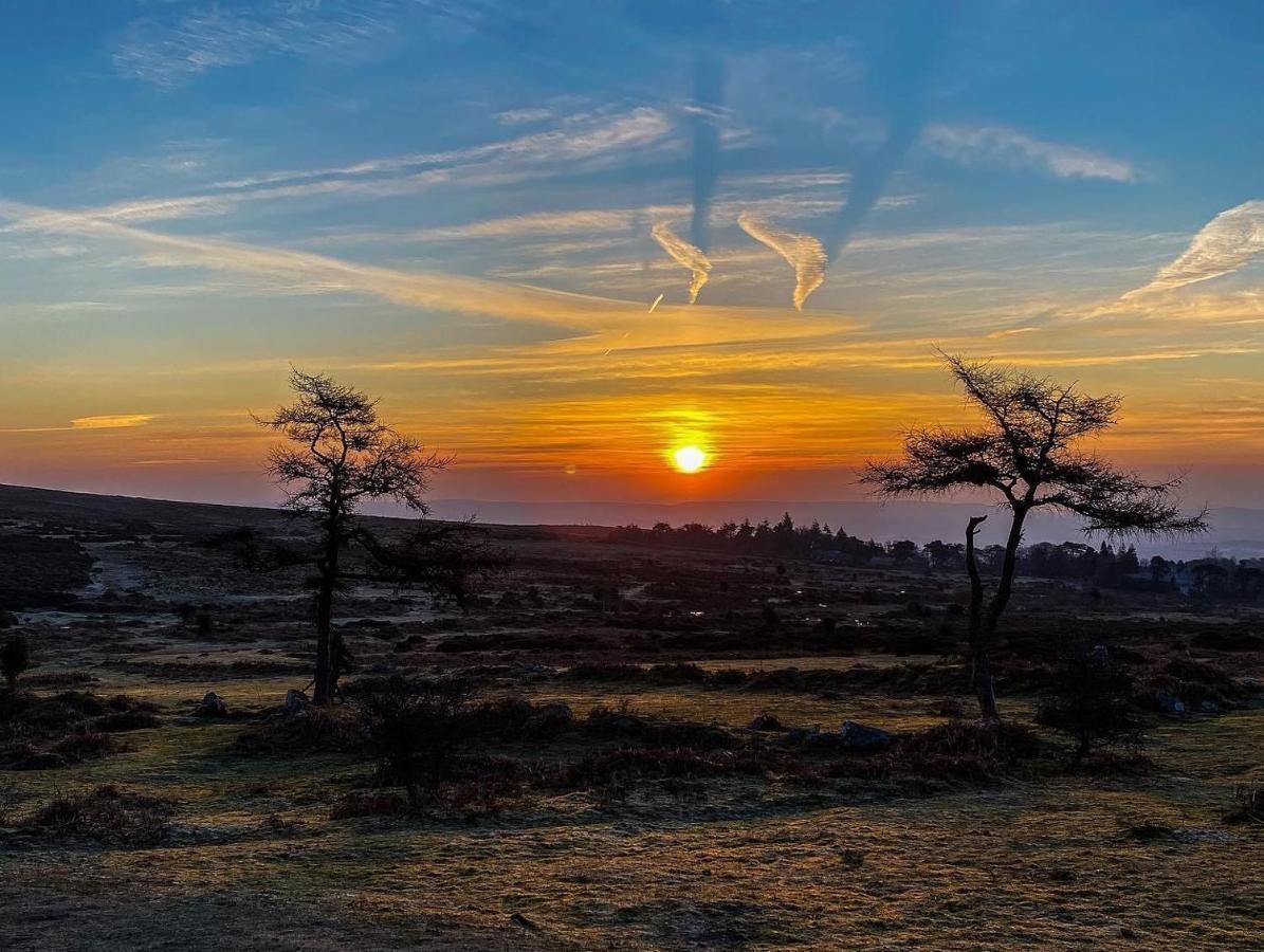 Haytor Court, Haytor, Dartmoor 아파트 외부 사진