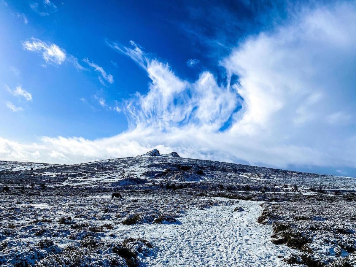 Haytor Court, Haytor, Dartmoor 아파트 외부 사진